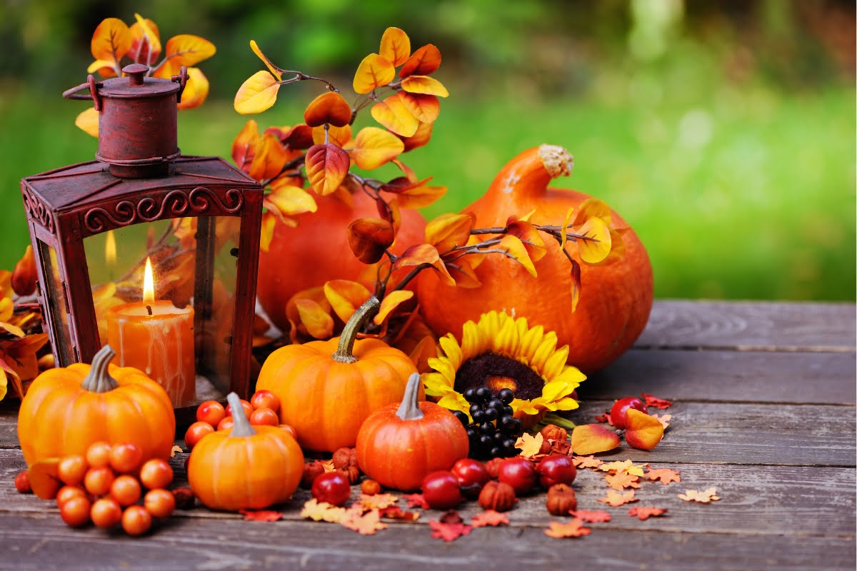 A rustic lantern with a lit candle sits among an arrangement of pumpkins, leaves, berries, and a sunflower on a wooden table outdoors, creating the perfect touch of seasonal landscaping.