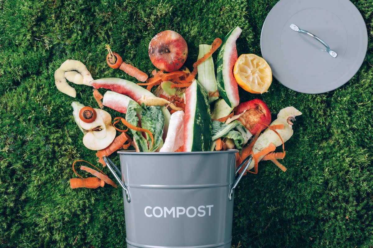 A grey compost bin filled with assorted fruit and vegetable scraps, including apple cores, watermelon rinds, and lemon peels, is placed on a grassy surface—a perfect addition to your seasonal landscaping efforts.