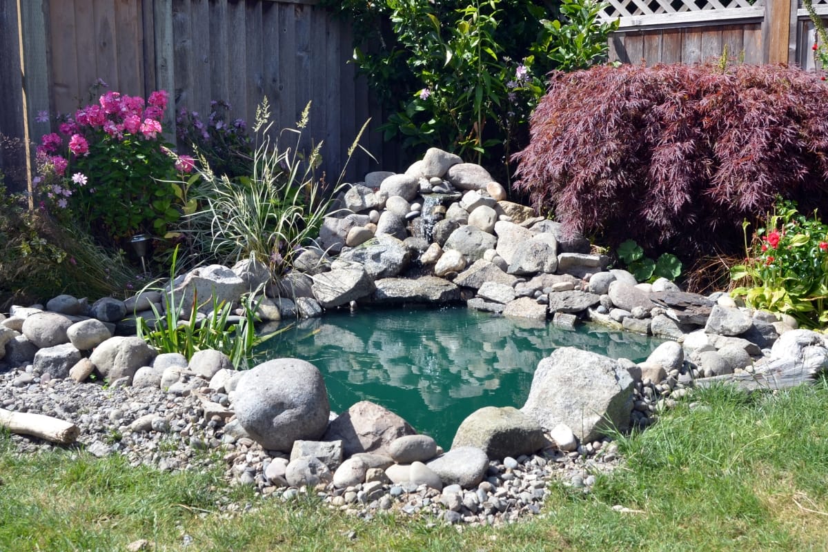 A small garden pond surrounded by rocks, enhanced by an outdoor makeover, showcases various plants and flowers along the edges.