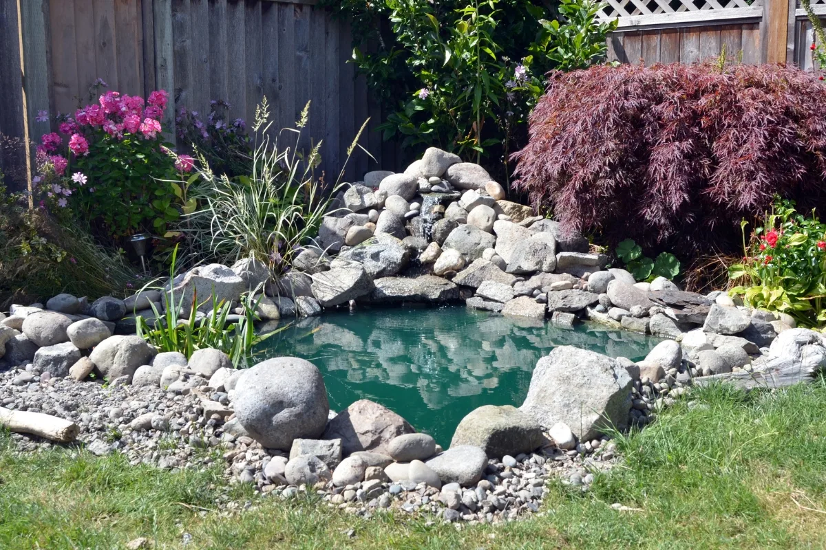 Outdoor Makeovers: Transform Your Yard with Elegant Landscaping & Hardscaping 6 A small garden pond surrounded by rocks, enhanced by an outdoor makeover, showcases various plants and flowers along the edges.
