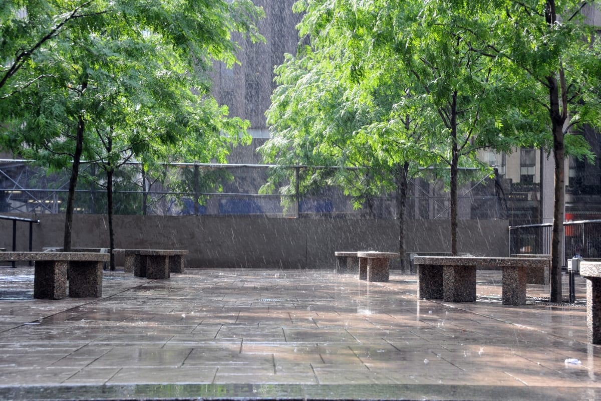 Rain Gardens in Marietta: Boosting Commercial Property Value with Professional Design 3 Rain falls on an empty urban plaza with rain gardens, trees, and stone benches, wetting the pavement and creating reflections on the ground.