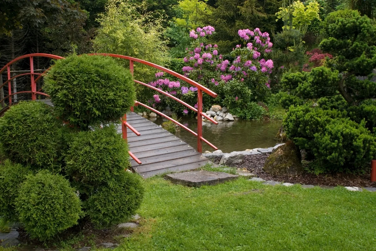 A red arched bridge crosses over a small pond surrounded by rain gardens, neatly trimmed shrubs, green grass, and blooming pink flowers.