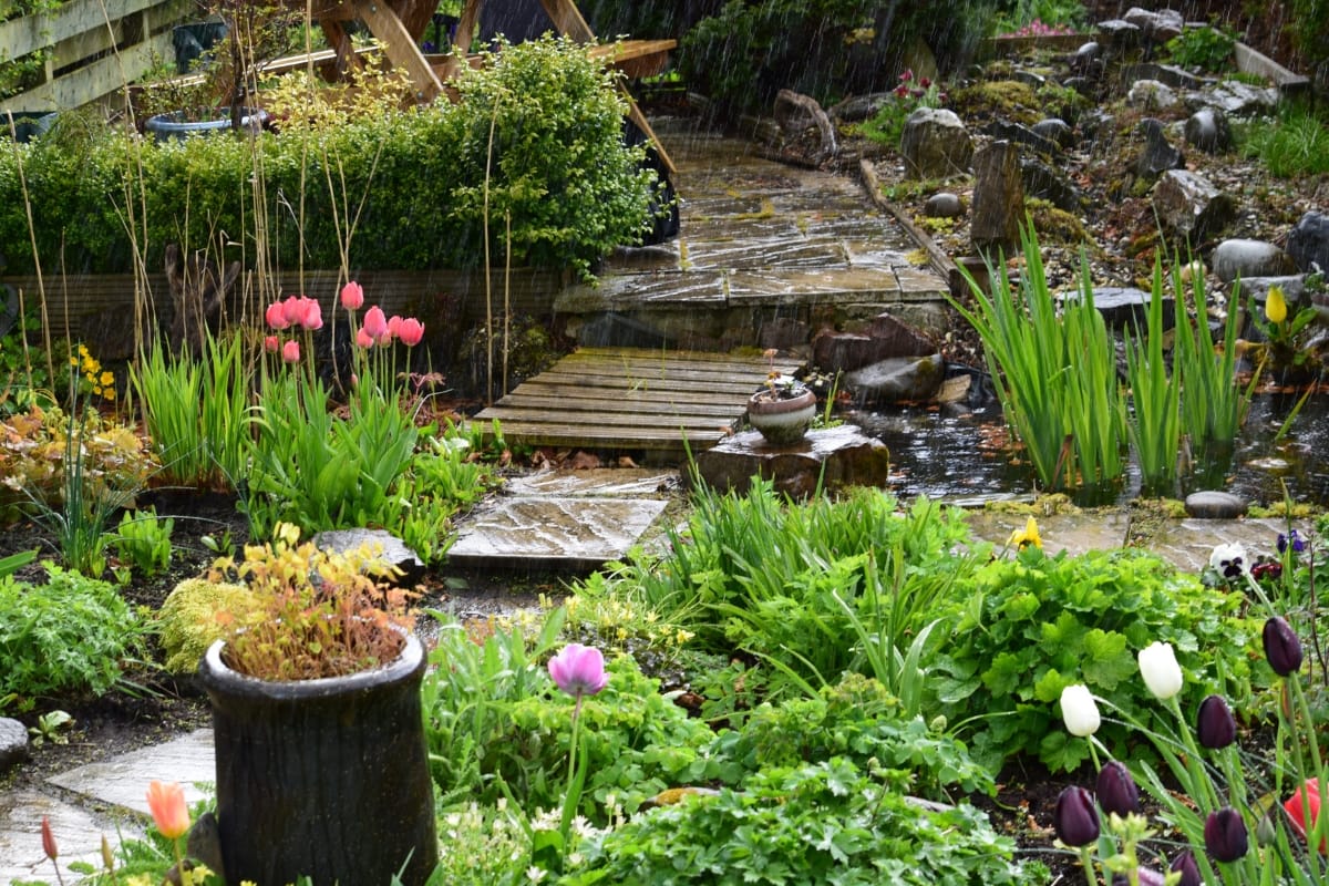 Rain Gardens in Marietta: Boosting Commercial Property Value with Professional Design 1 A garden with blooming tulips, green plants, a stone path, a small wooden bridge, and a pond surrounded by rocks, featuring rain gardens that help manage water naturally.