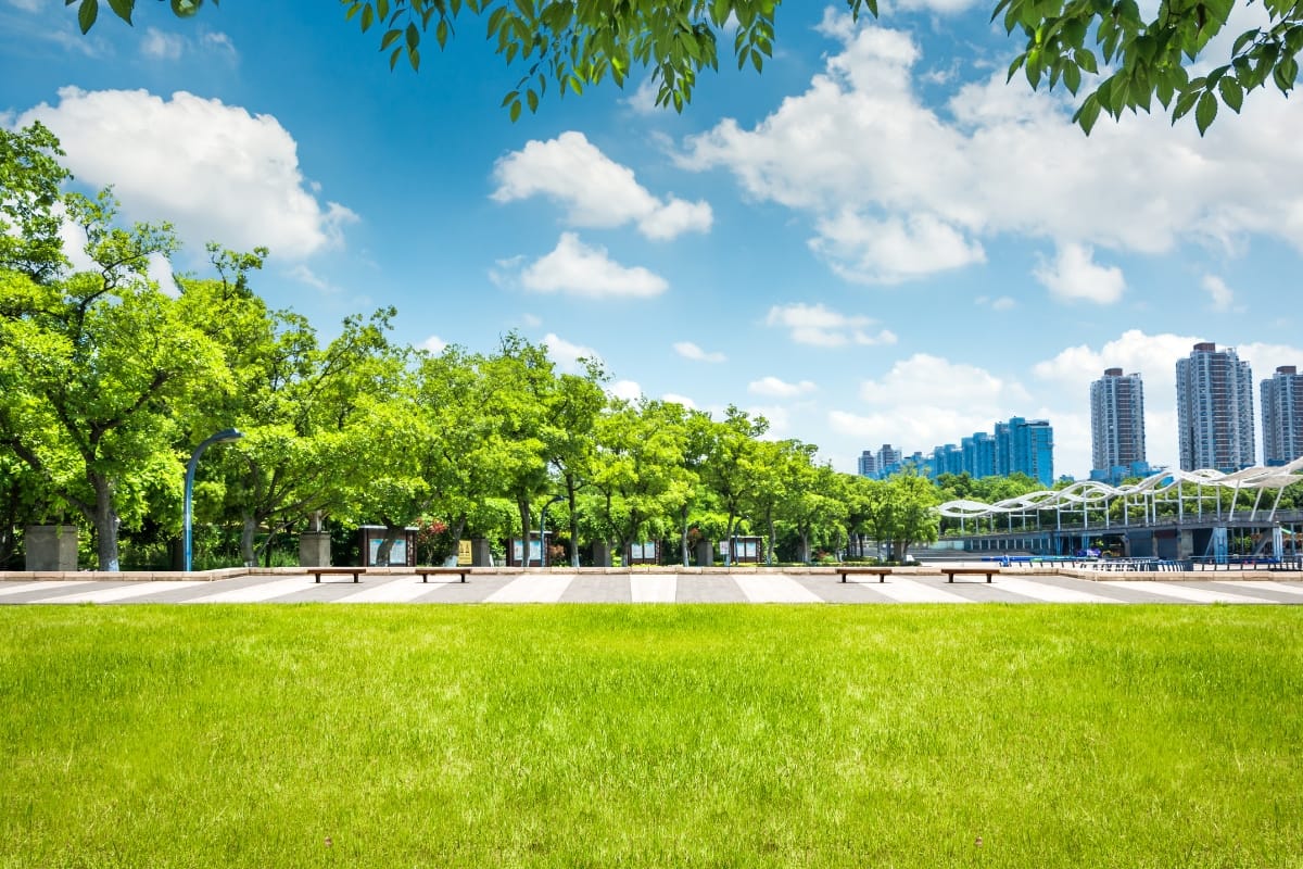 Commercial Landscape Maintenance for Alpharetta Businesses: Why It Matters 3 A city park with green grass, trees, empty benches, and high-rise buildings in the background under a blue sky with scattered clouds showcases the benefits of professional commercial landscape maintenance.