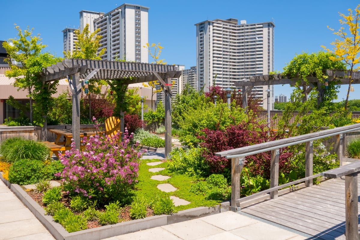 How Commercial Landscaping in Kennesaw Helps Create a Welcoming Business Environment 12 A rooftop garden featuring commercial landscaping with wooden pergolas, flowering plants, shrubs, and paved walkways, set against the backdrop of tall apartment buildings on a clear sunny day.