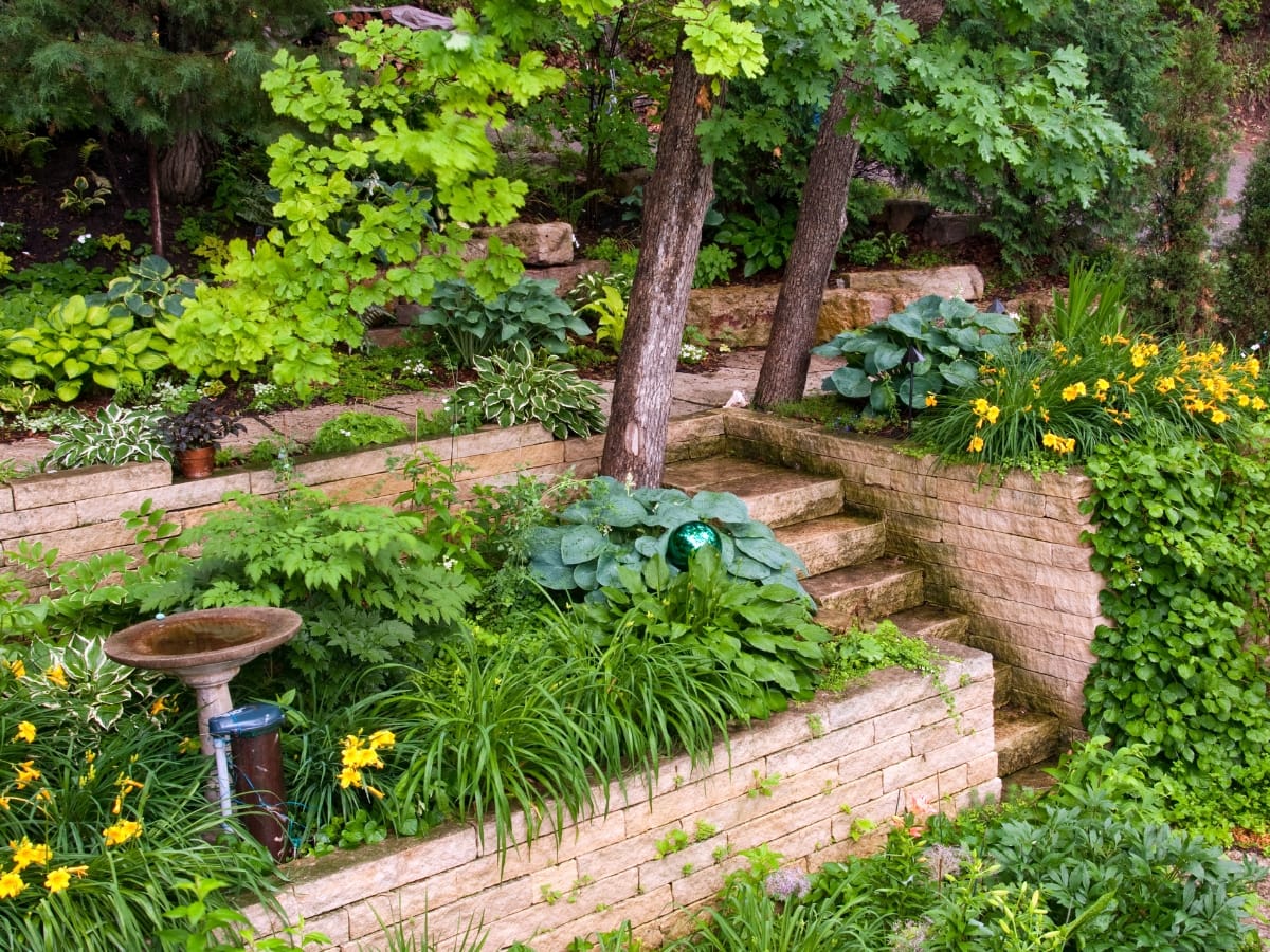 How Commercial Retaining Walls in Sandy Springs Protect Your Business Property 16 Stone terraced garden with green leafy plants, yellow flowers, trees, and a birdbath, featuring commercial retaining walls and steps leading up through the tiers.
