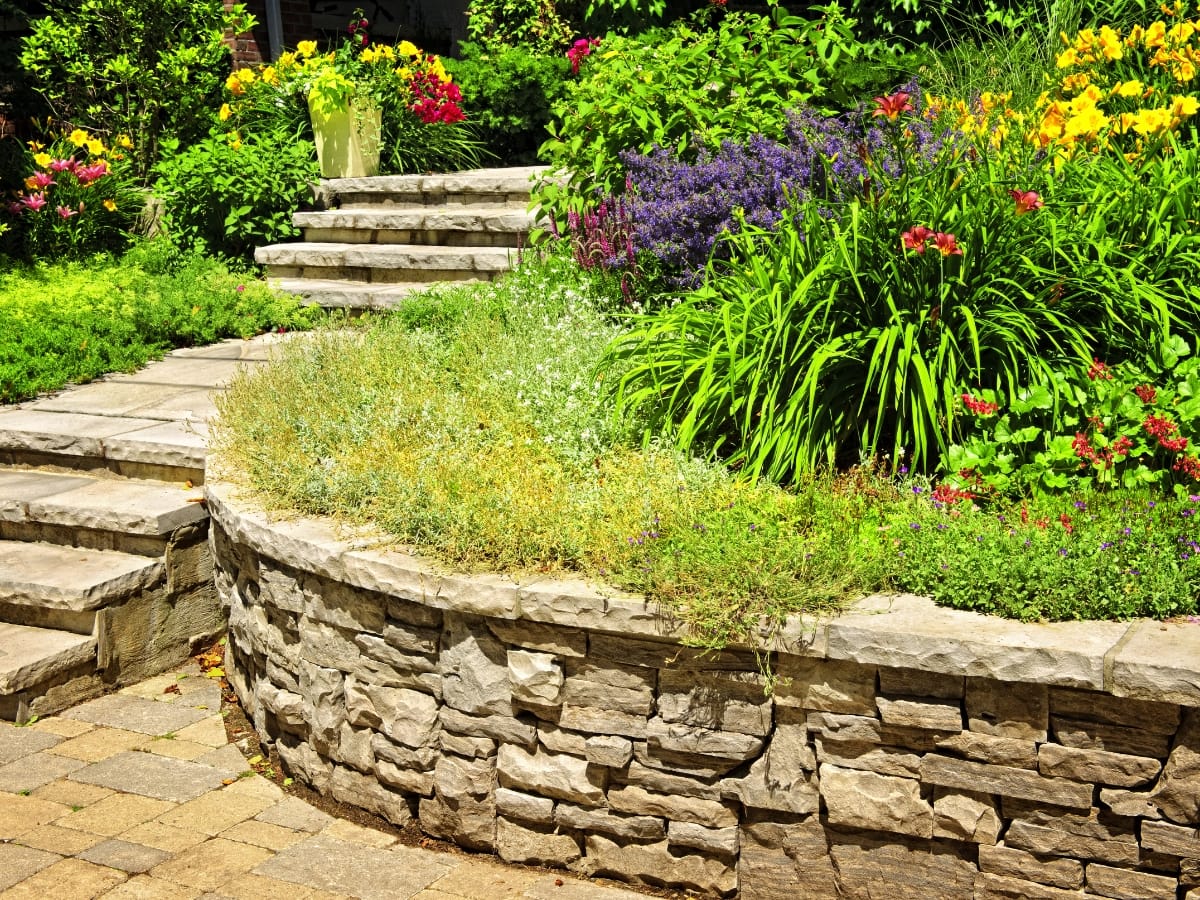 How Commercial Retaining Walls in Sandy Springs Protect Your Business Property 18 Stone steps and a curved commercial retaining wall border landscaped flower beds with a variety of colorful blooming plants and green foliage in a garden setting.