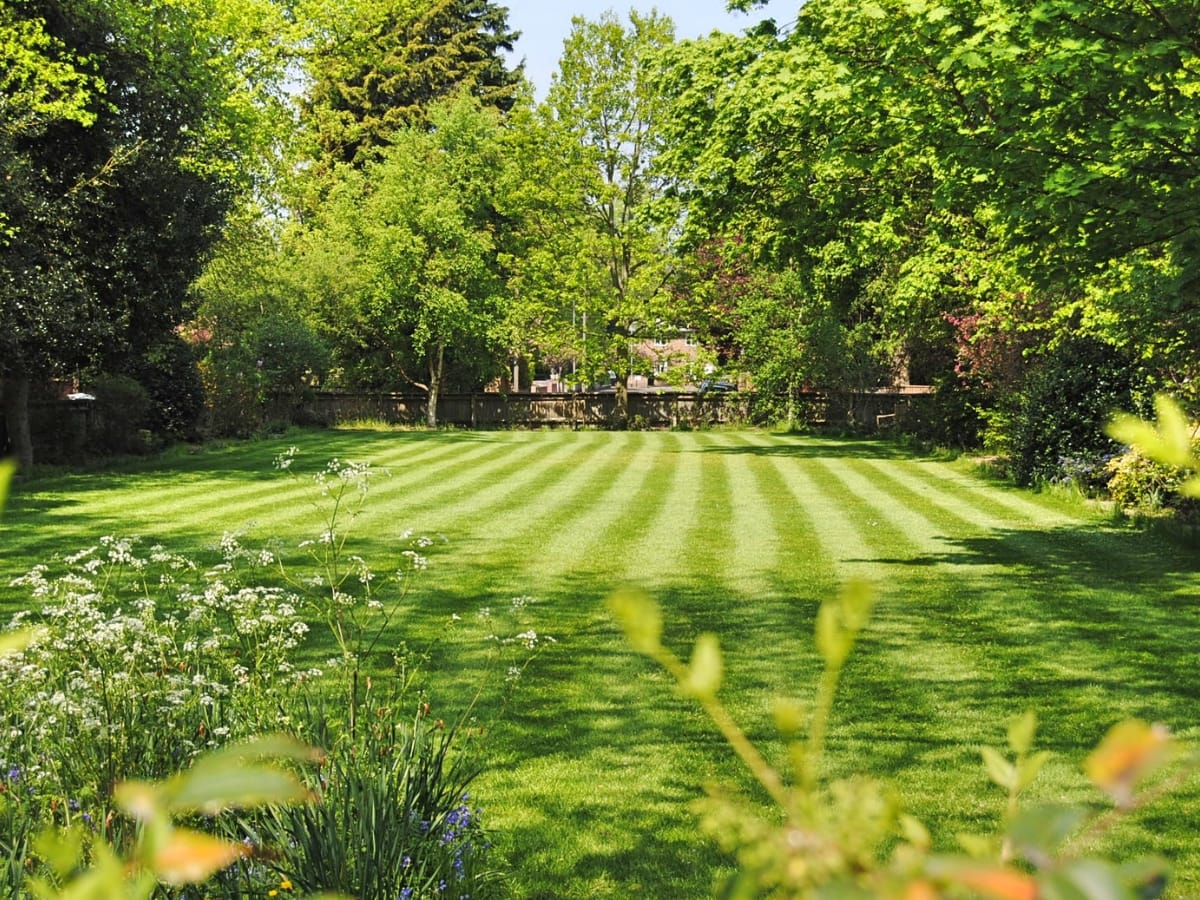 How Flo-Well Systems in Atlanta Can Improve Your Business Property’s Drainage 5 A neatly mowed lawn with striped patterns, enhanced by Flo-Well Systems in Atlanta, is bordered by trees and flowerbeds on a sunny day.
