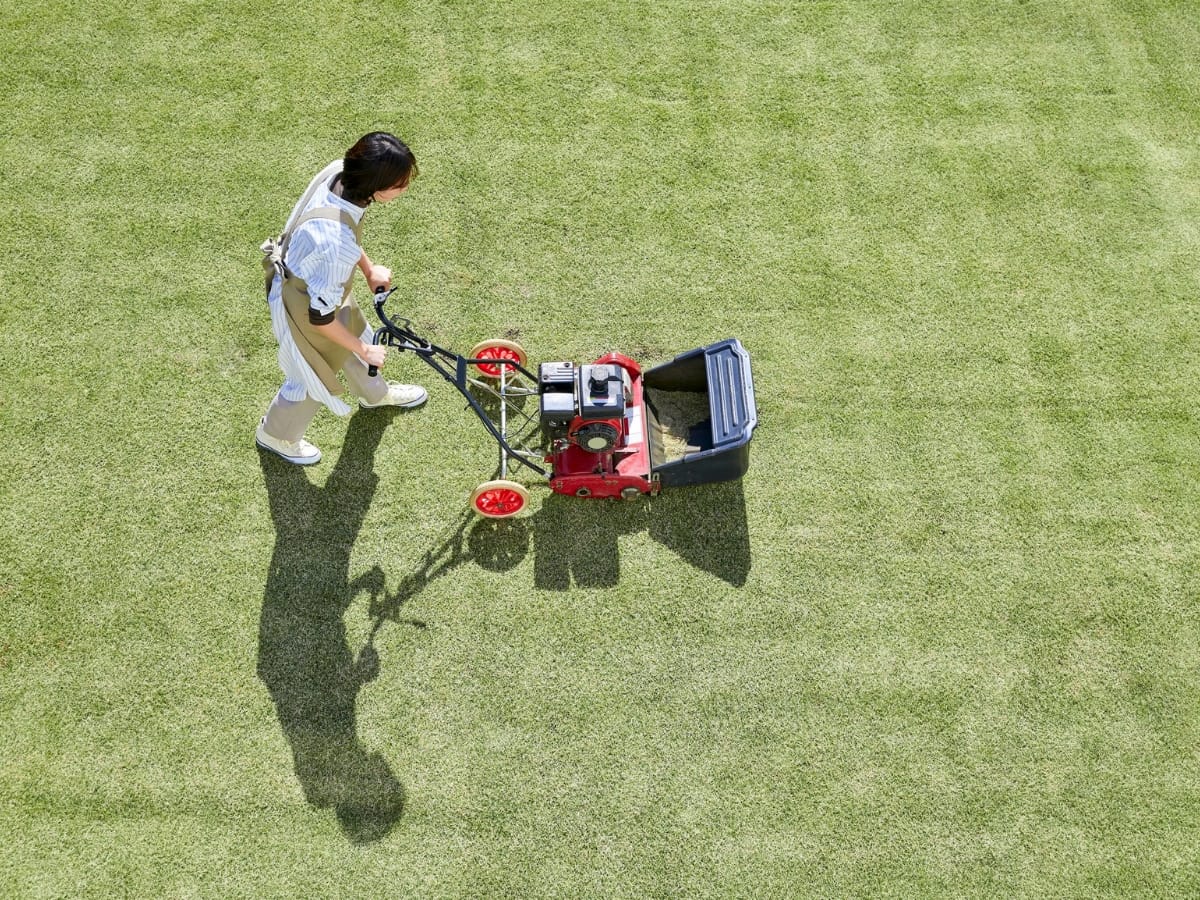 The Role of Commercial Grading Services in Smyrna for Business Landscaping 2 A person pushes a red lawn mower across a neatly trimmed grassy lawn, exhibiting the precision of commercial grading as their shadow stretches across the ground.