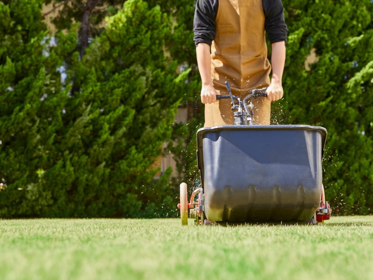 The Role of Commercial Grading Services in Smyrna for Business Landscaping 5 Wearing brown overalls, a person pushes a large fertilizer spreader across a neatly graded green lawn, with tall bushes in the background—ideal for showcasing Commercial Grading results.