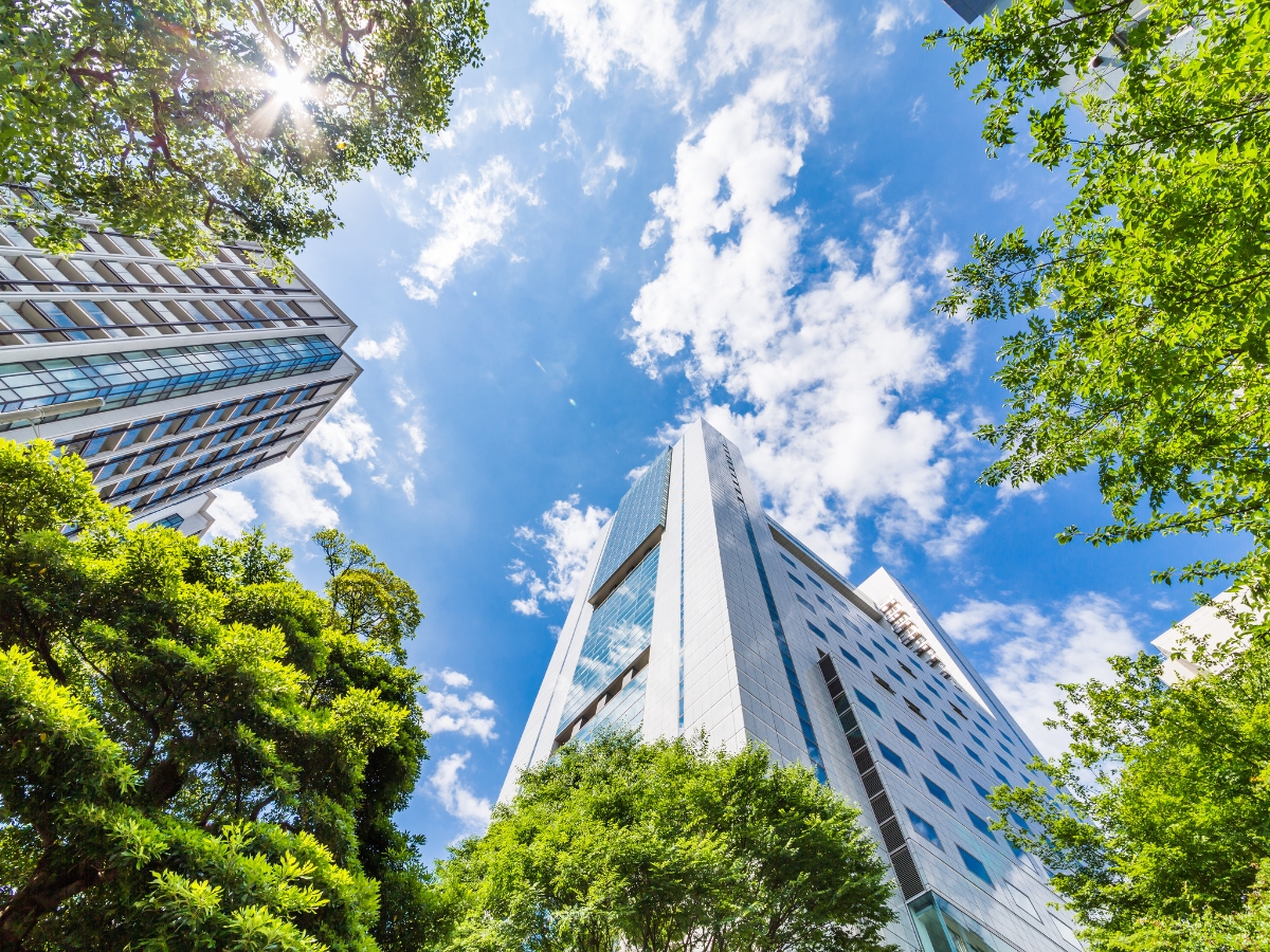 Modern office buildings viewed from below, surrounded by green trees under a bright blue sky with scattered clouds—showcasing expert Commercial Landscape Design in Marietta and sunlight filtering through the leaves.