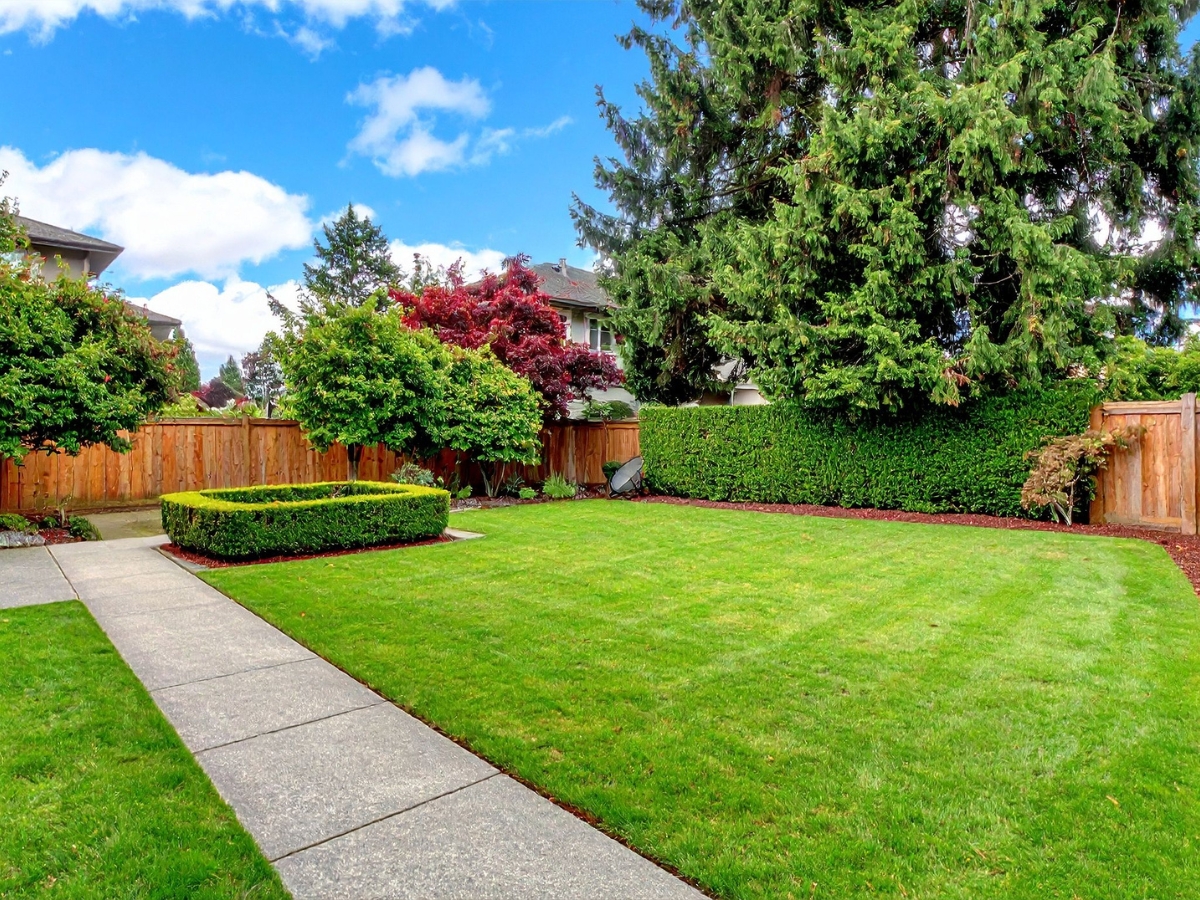 A well-maintained backyard with drainage solutions features a trimmed lawn, manicured hedges, various trees, a wooden fence, and a concrete path under a partly cloudy sky.