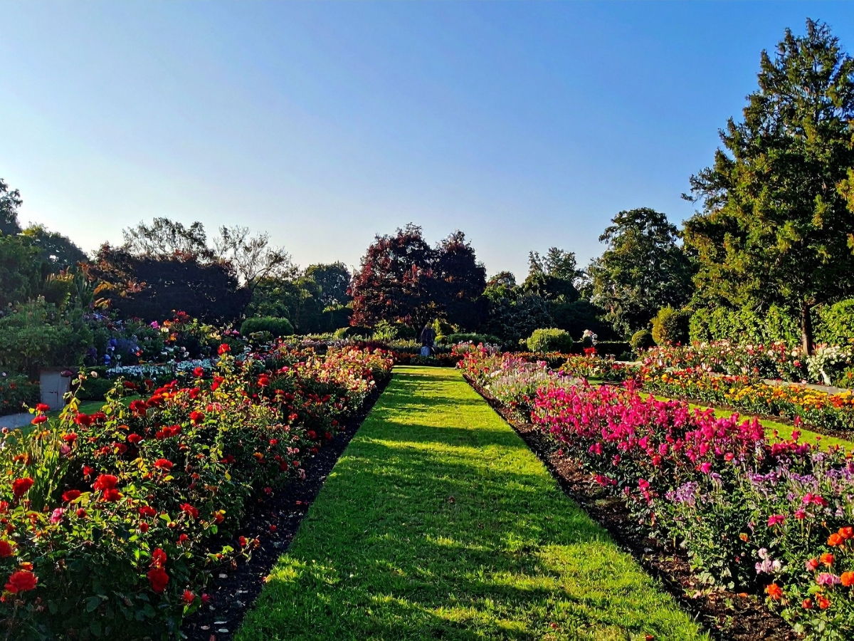 A wide, grassy path runs through a formal garden with colorful flower beds showcasing seasonal color on both sides, surrounded by green trees under a clear blue sky.