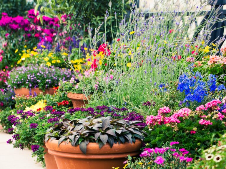 Seasonal Color Design Ideas For Atlanta