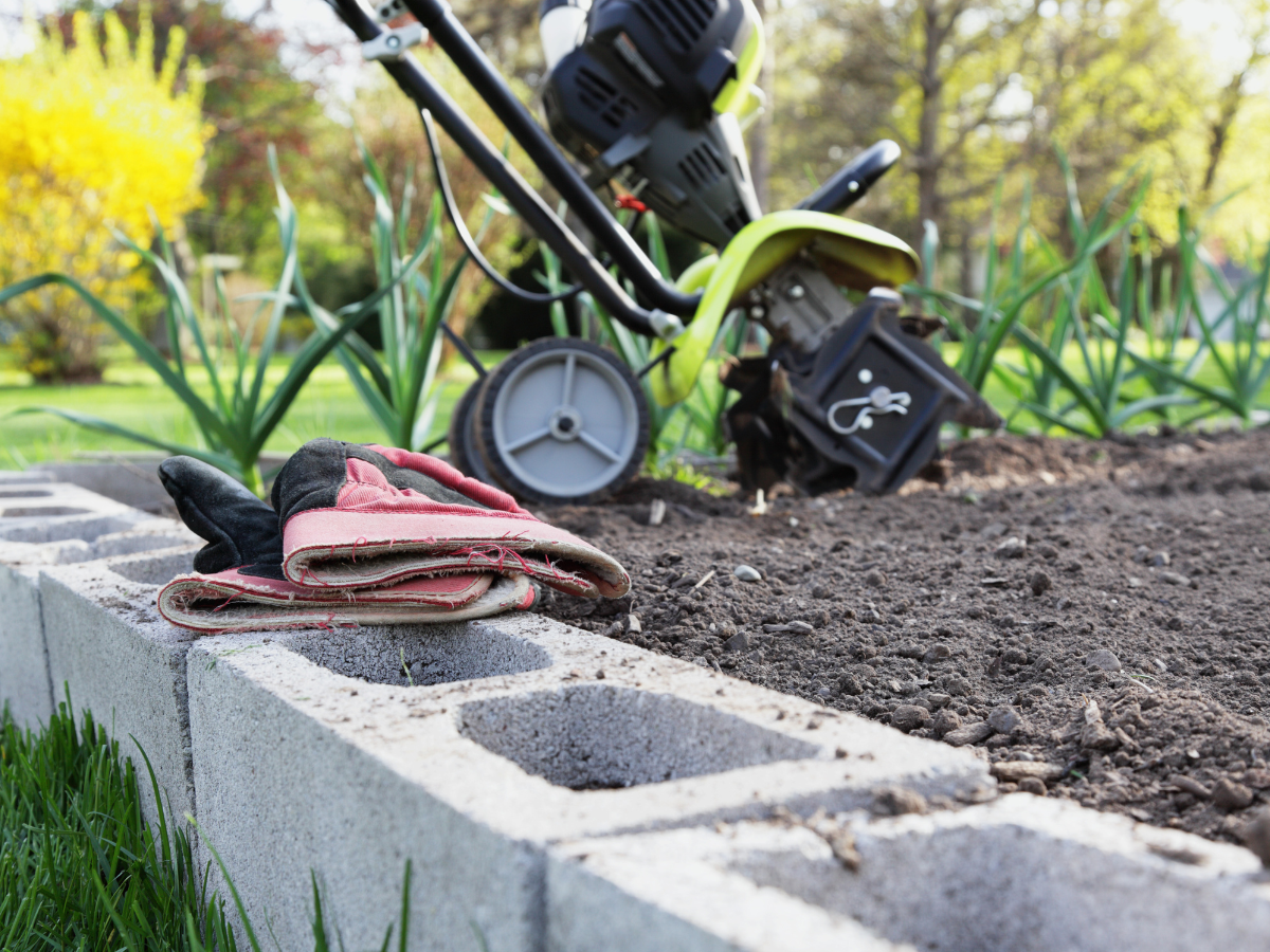 What Are Rain Gardens and How Do They Work? 3 rain gardens