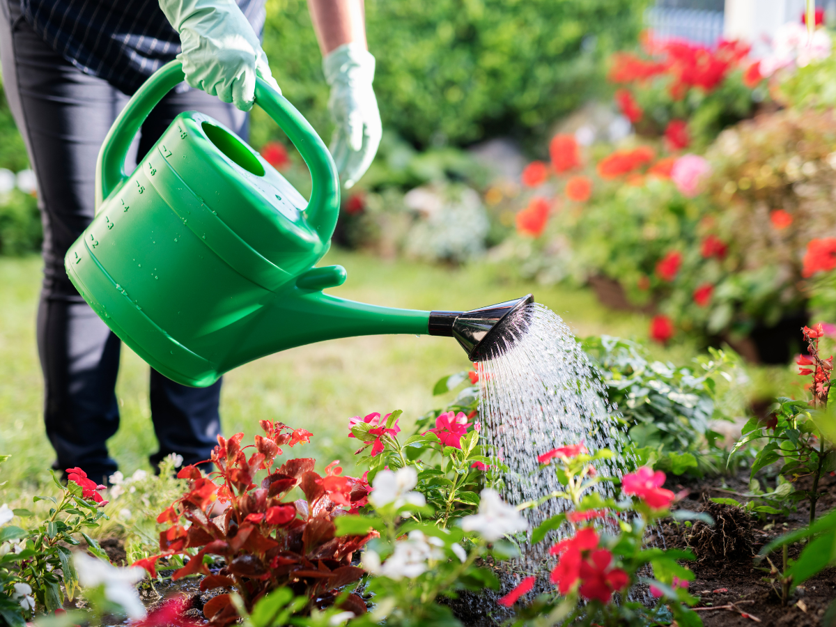 Comprehensive Summer Guide for Atlanta Garden Landscaping: Heat-Resistant Plants and Care Tips 3 summer guide 2