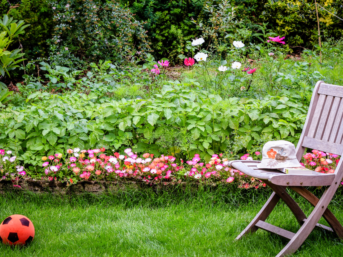 Comprehensive Summer Guide for Atlanta Garden Landscaping: Heat-Resistant Plants and Care Tips 1 summer guide